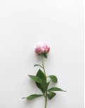 item-1